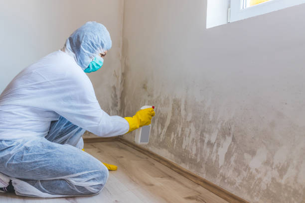 Licensed Mold Testing service in Danville, PA - WQB Mold Removal