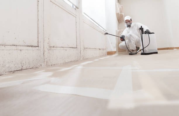 24/7 Emergency Mold Testing experts in Danville, PA