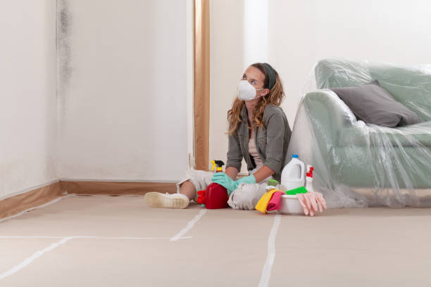 Reliable Mold Testing contractor in Danville, PA by WQB Mold Removal